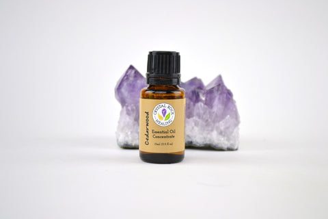 Cinnamon Essential Oil Concentrate