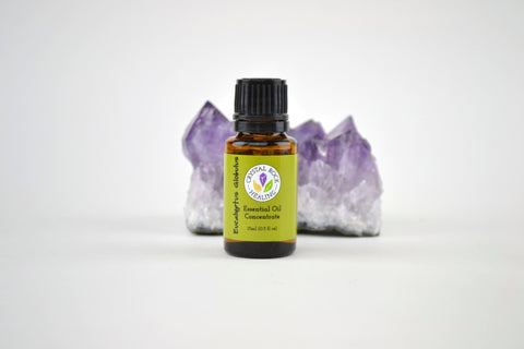 Eucalyptus Globulus Essential Oil Concentrate