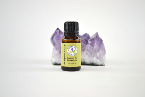 Eucalyptus Radiata Essential Oil Concentrate